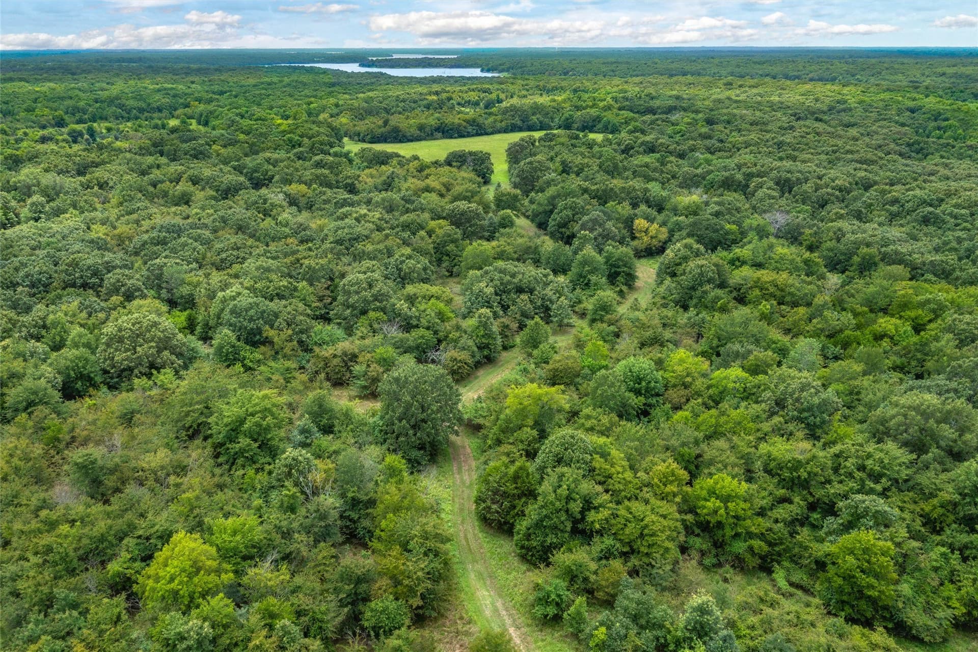 788 acres in Hopkins County - photo 7