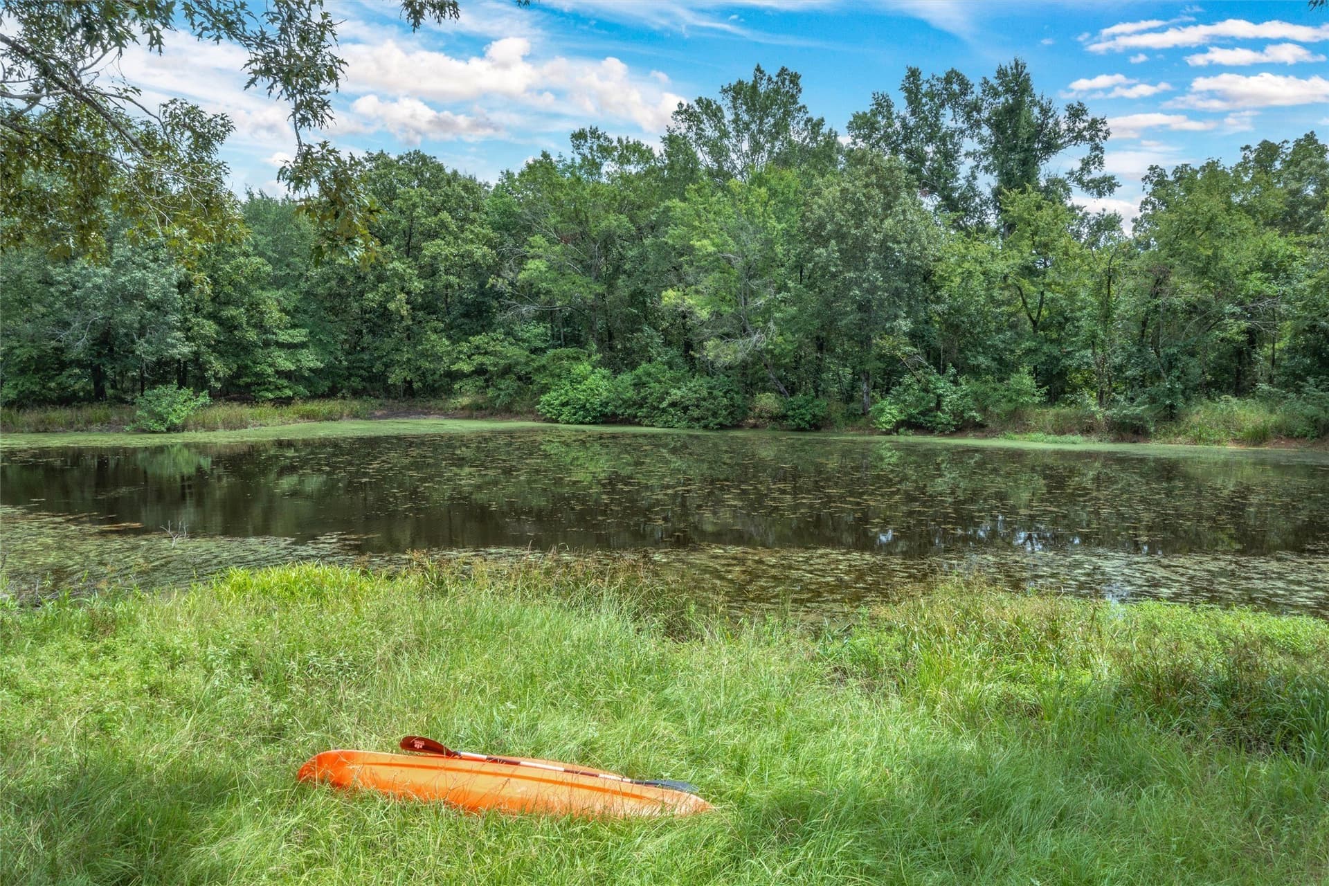 788 acres in Hopkins County - photo 13