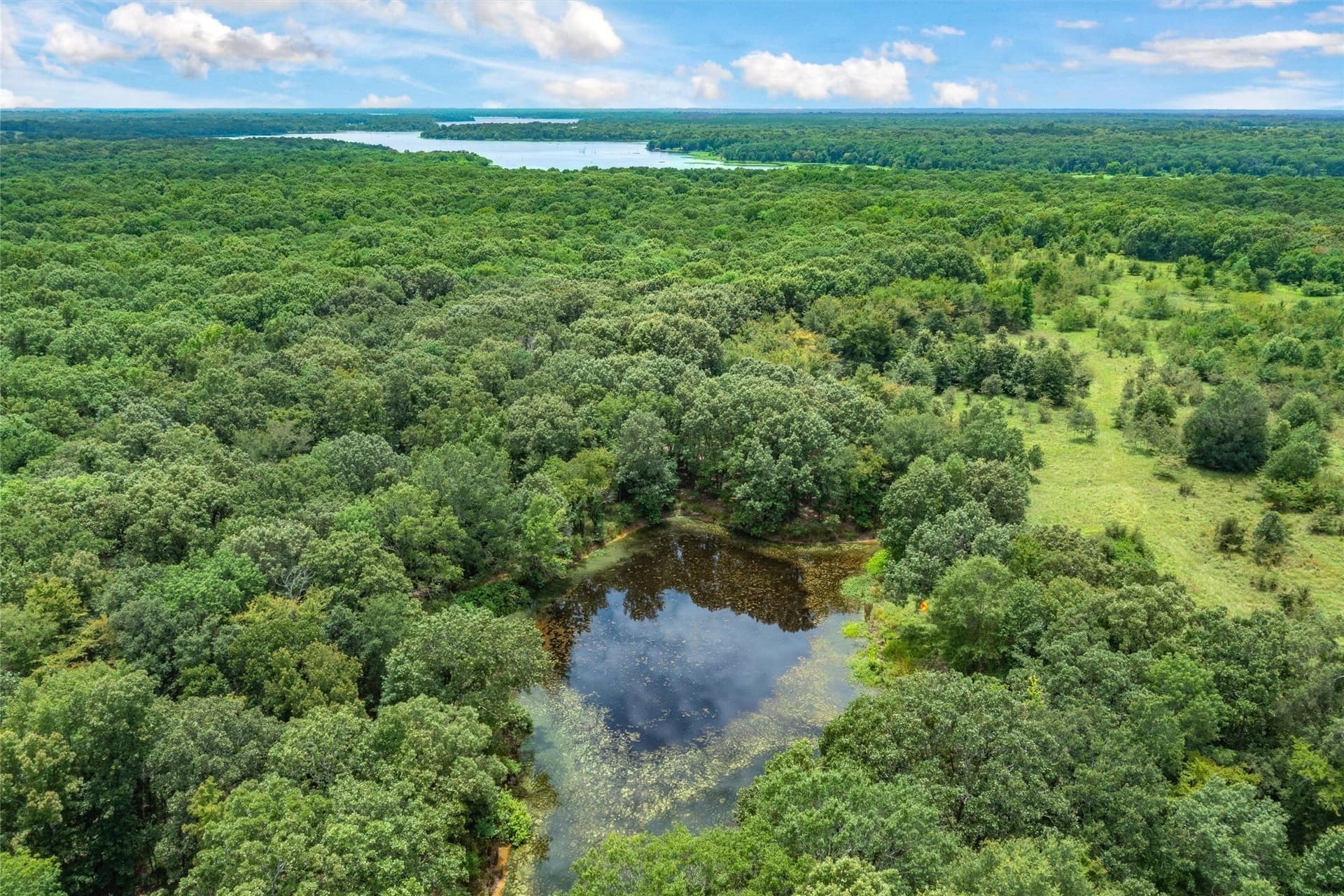 788 acres in Hopkins County - photo 12