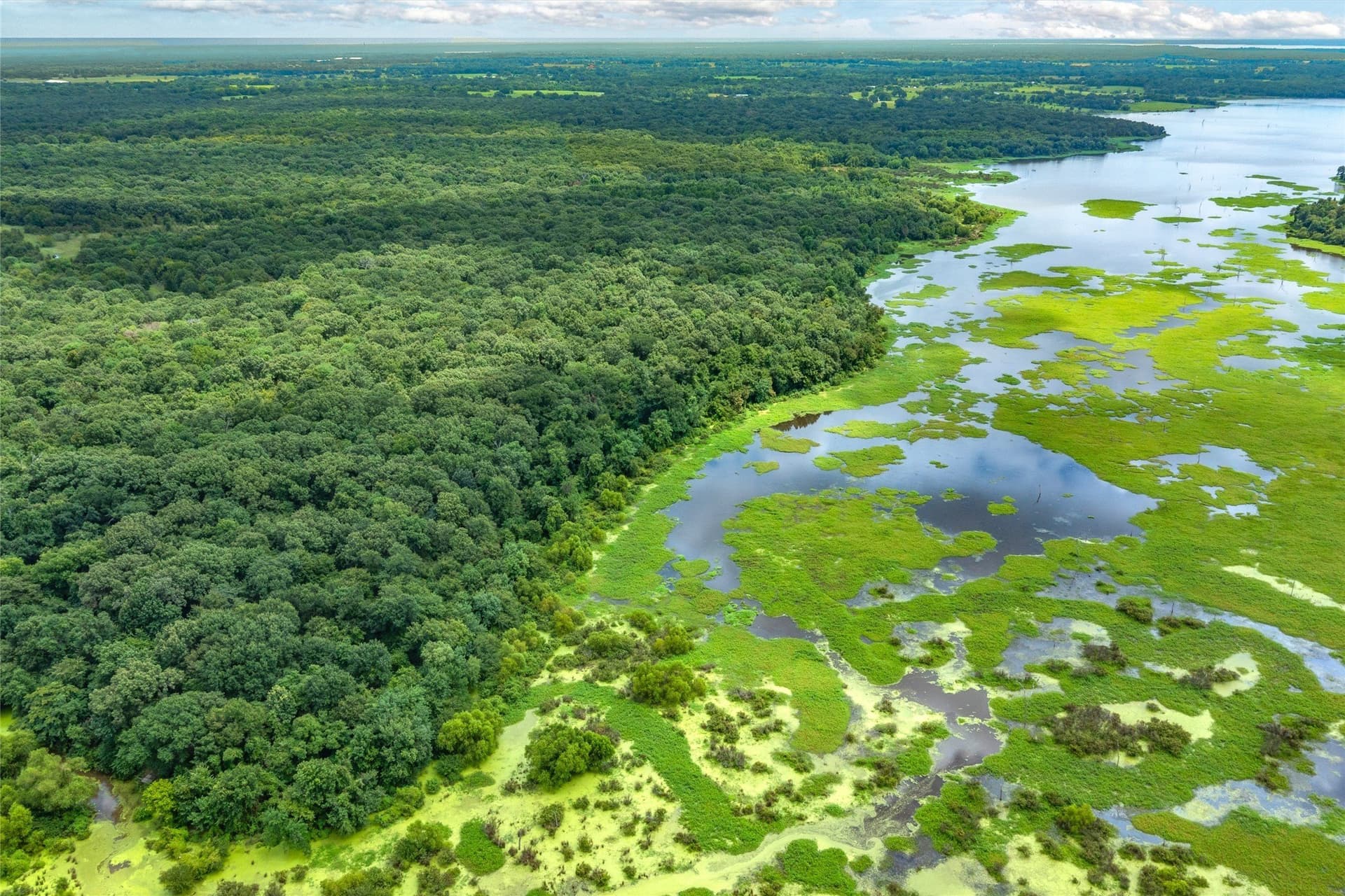 788 acres in Hopkins County - photo 19