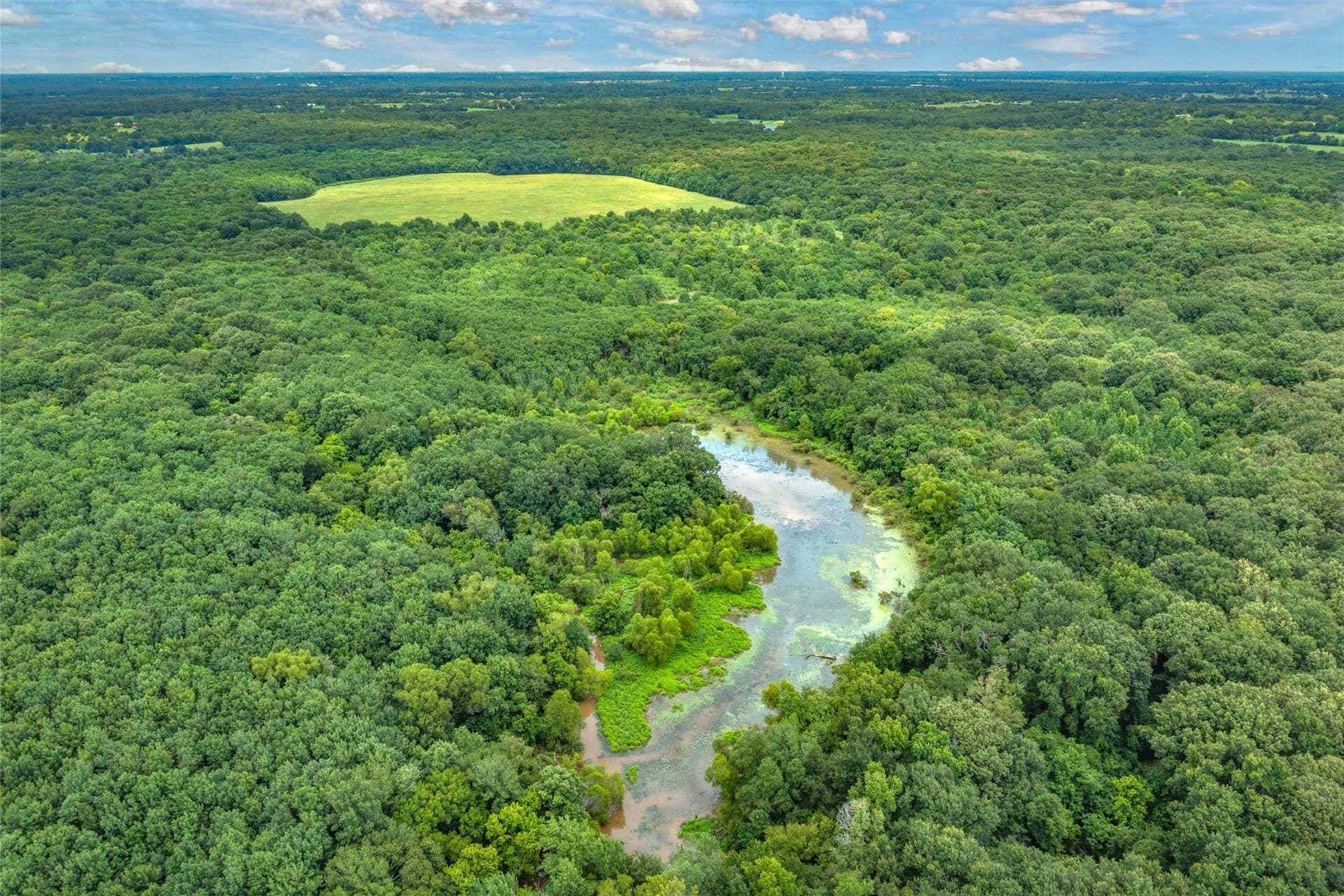 788 acres in Hopkins County - photo 18