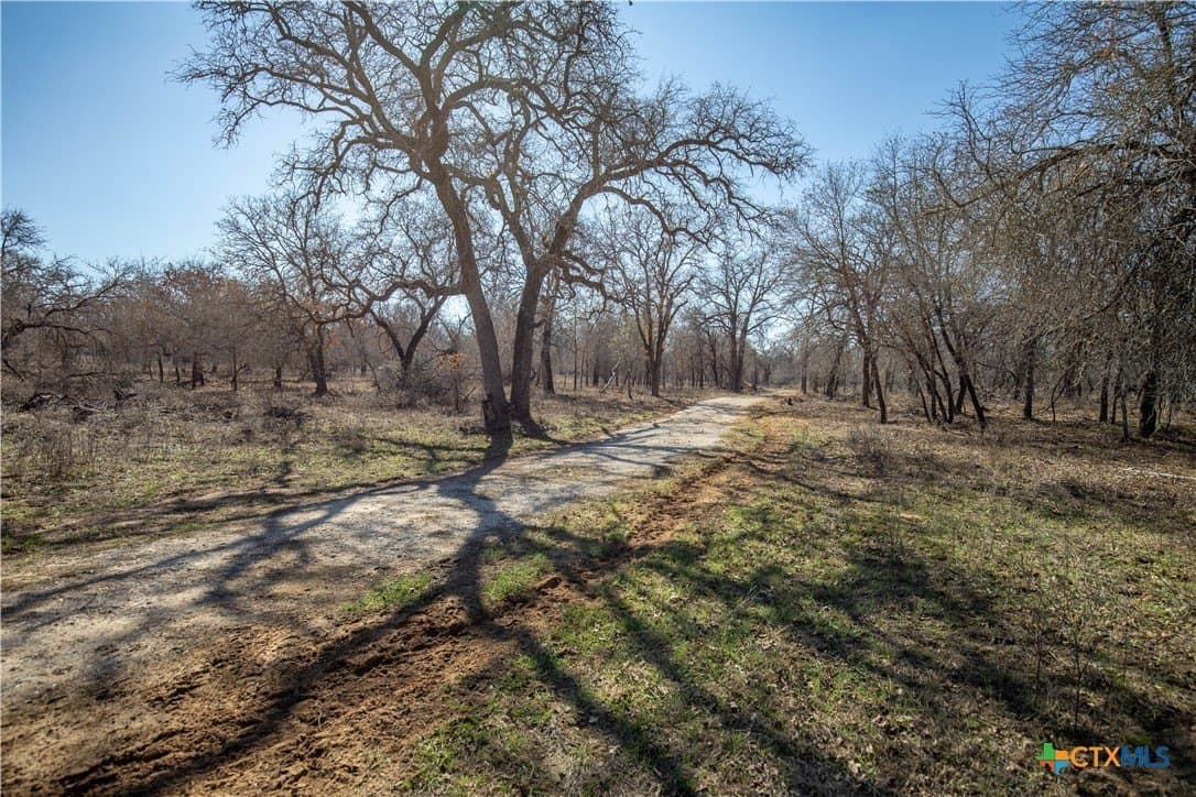 298 acres in Wilson County - photo 37