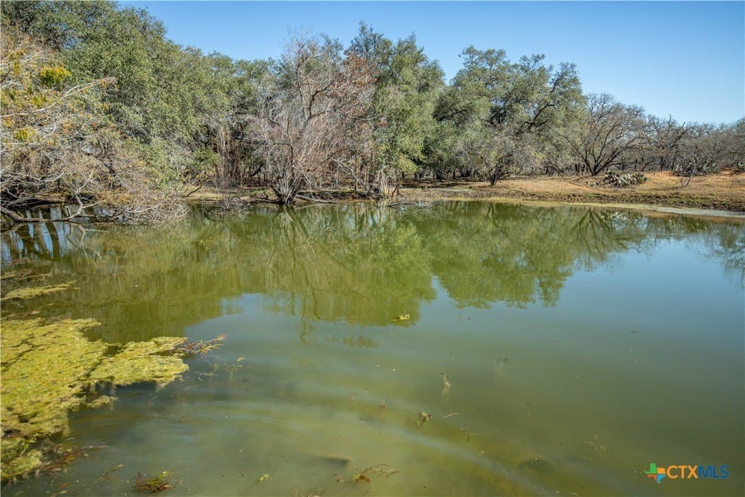298 acres in Wilson County - photo 30