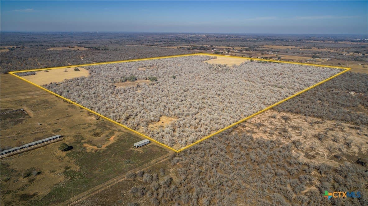 298 acres in Wilson County gallery image 4