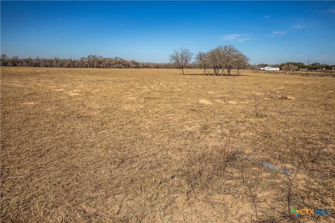 298 acres in Wilson County - photo 7