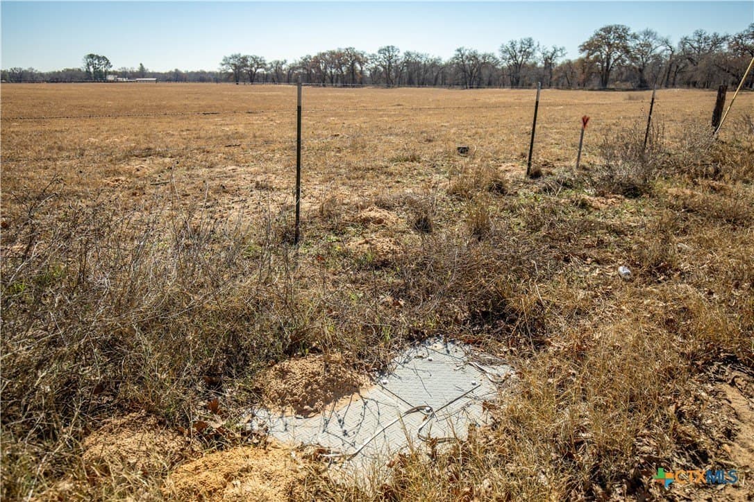 298 acres in Wilson County - photo 12