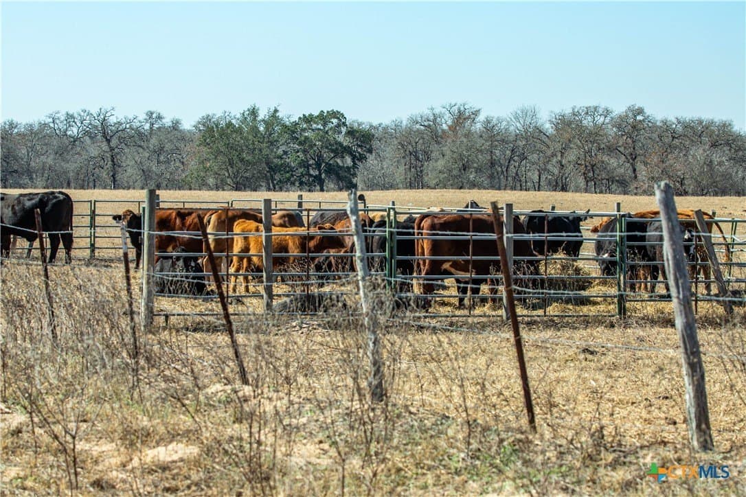298 acres in Wilson County - photo 22