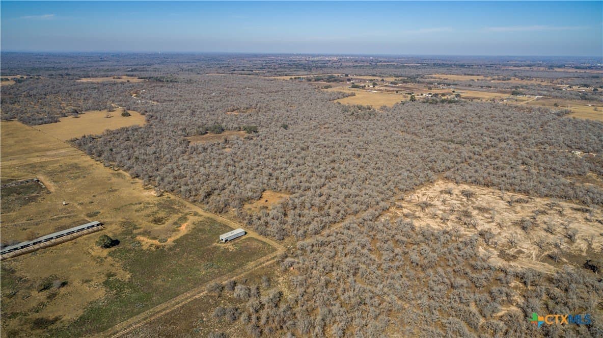 298 acres in Wilson County gallery image 3