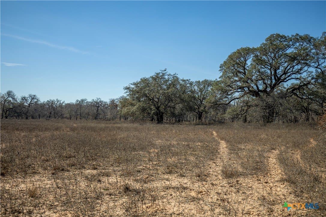 298 acres in Wilson County - photo 41