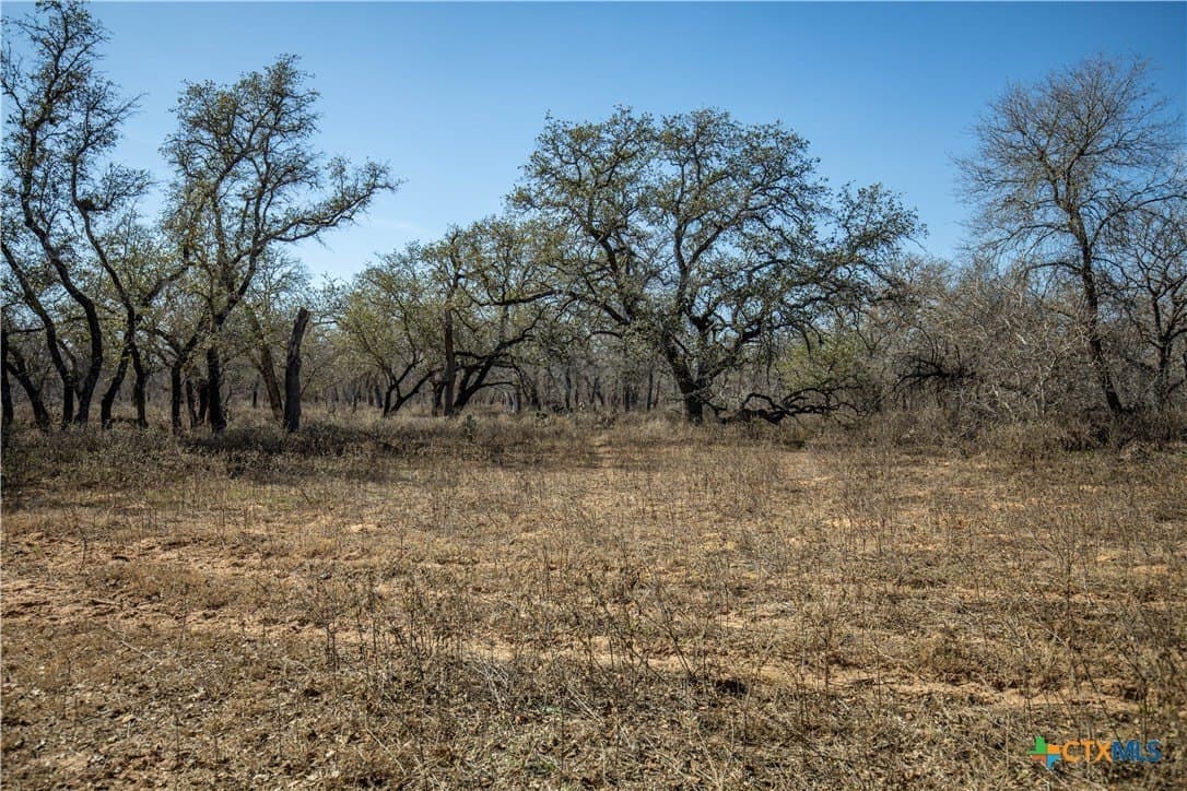 298 acres in Wilson County - photo 38