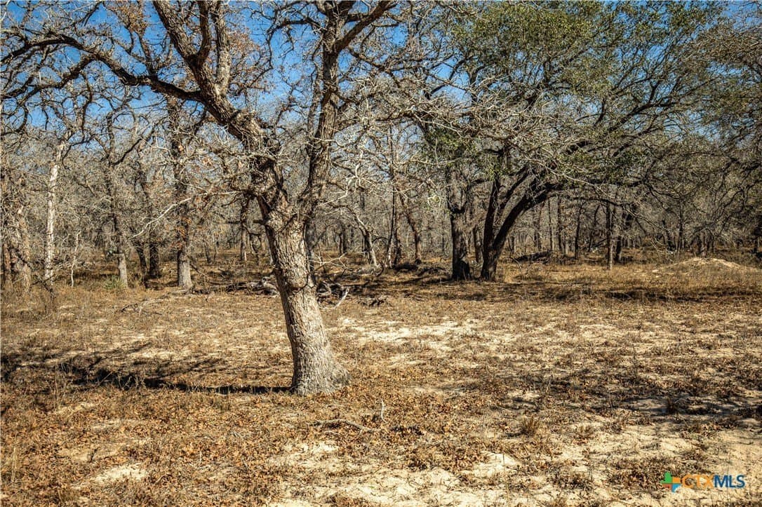 298 acres in Wilson County - photo 43