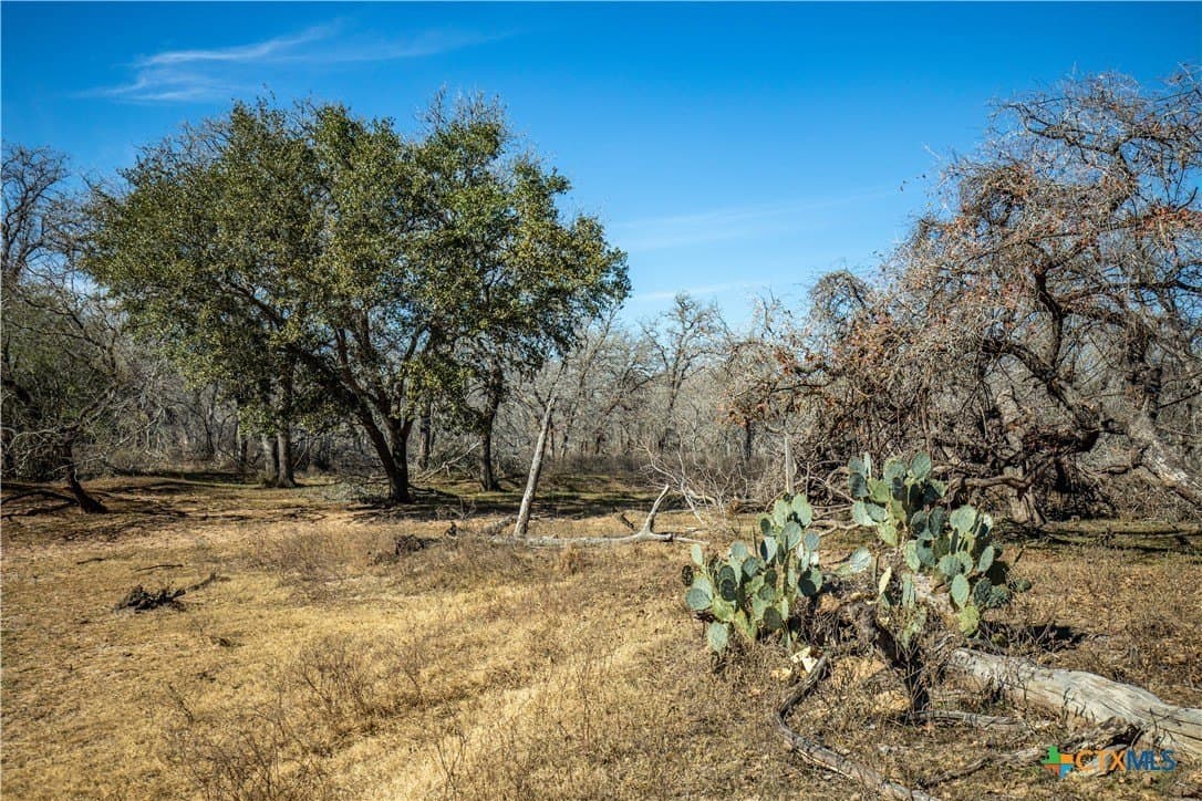 298 acres in Wilson County - photo 44