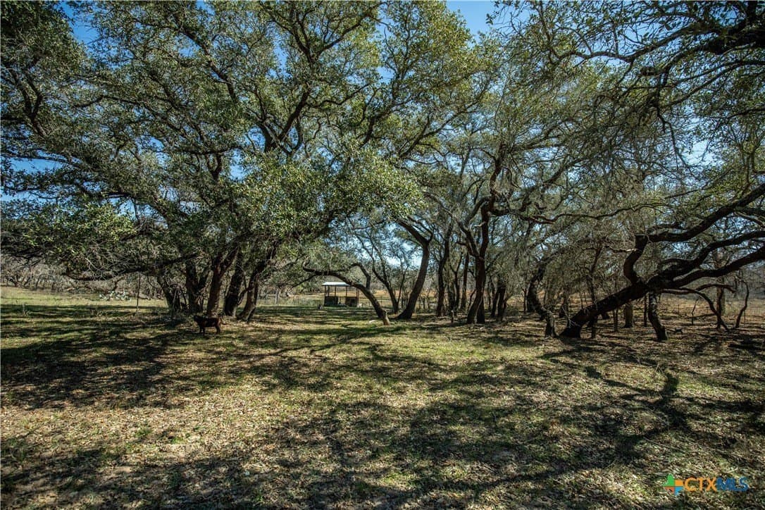 298 acres in Wilson County - photo 27
