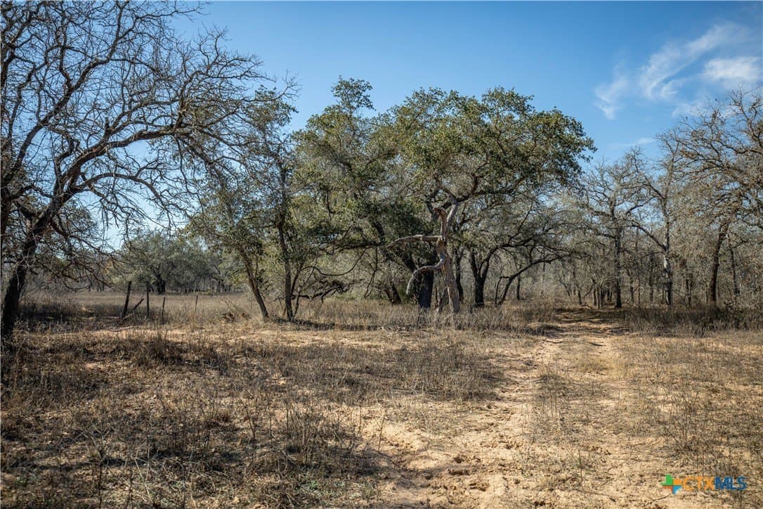 298 acres in Wilson County - photo 40