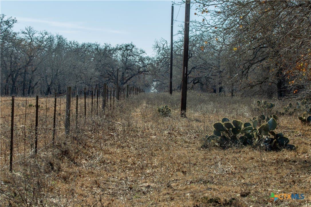298 acres in Wilson County - photo 48