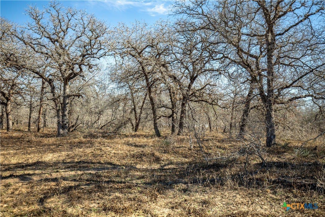 298 acres in Wilson County - photo 45