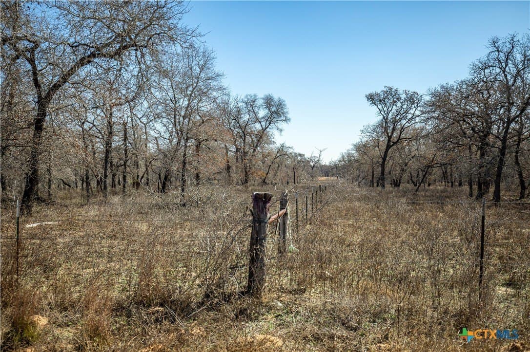 298 acres in Wilson County - photo 17
