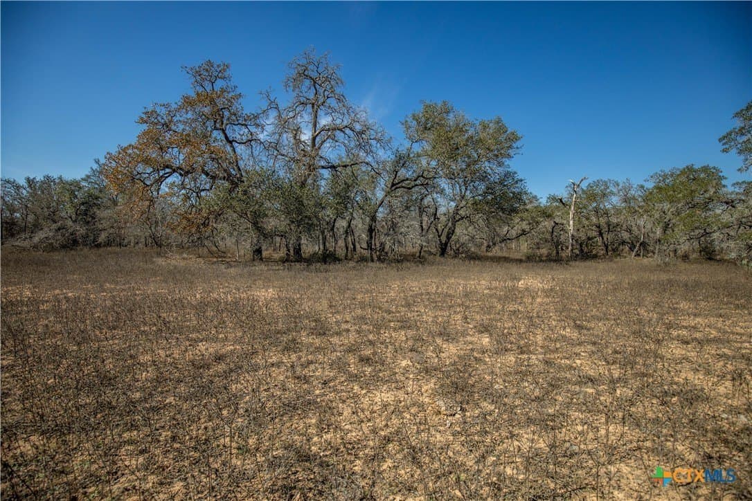 298 acres in Wilson County - photo 42
