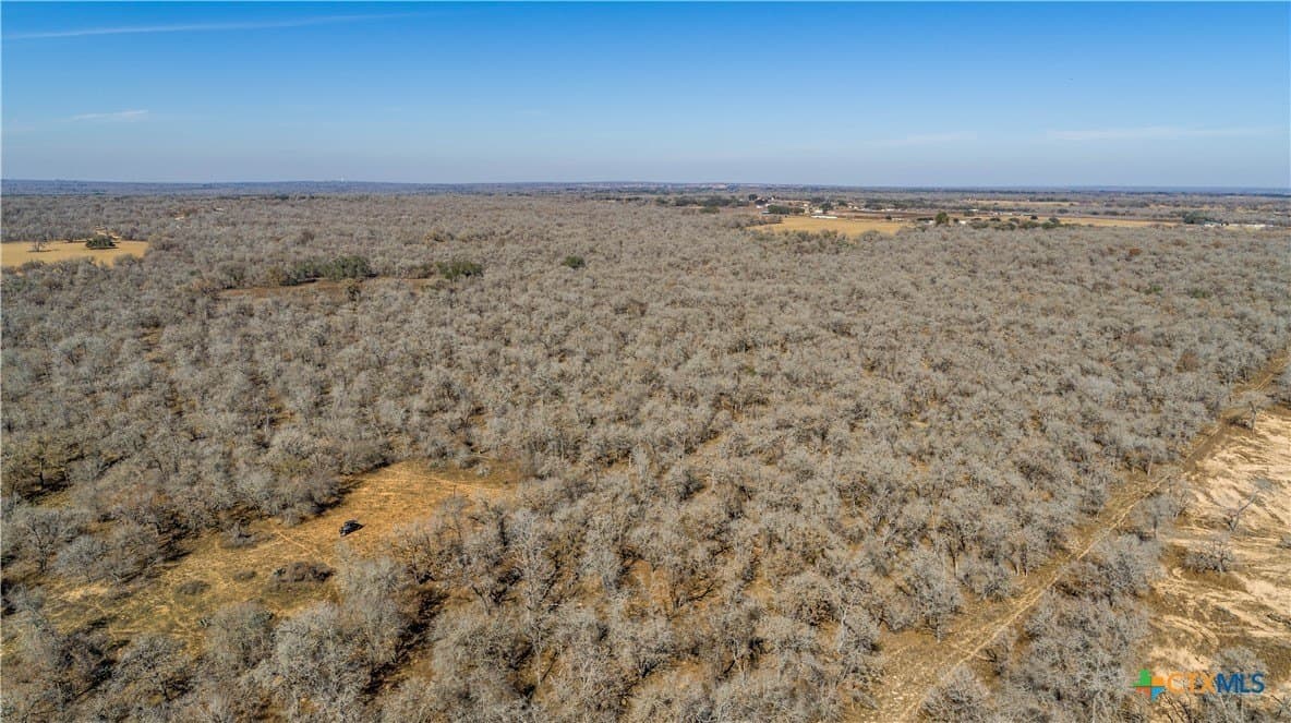 298 acres in Wilson County featured view