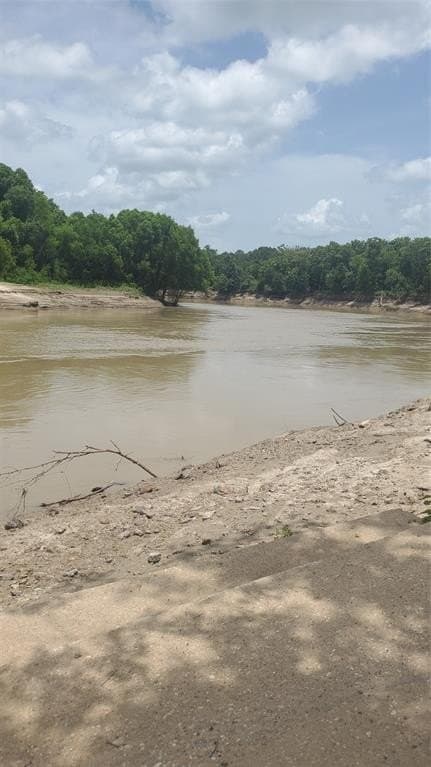 20 acres in Anderson County gallery image 4