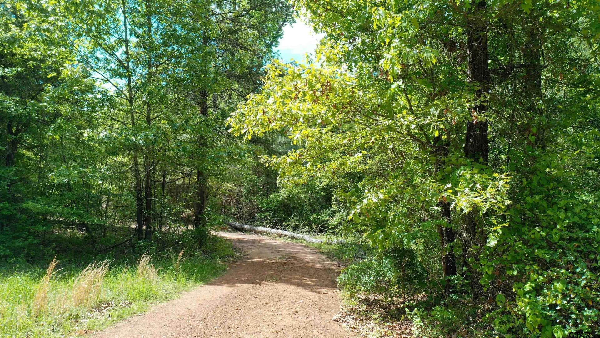 16.55 acres in Upshur County - photo 46