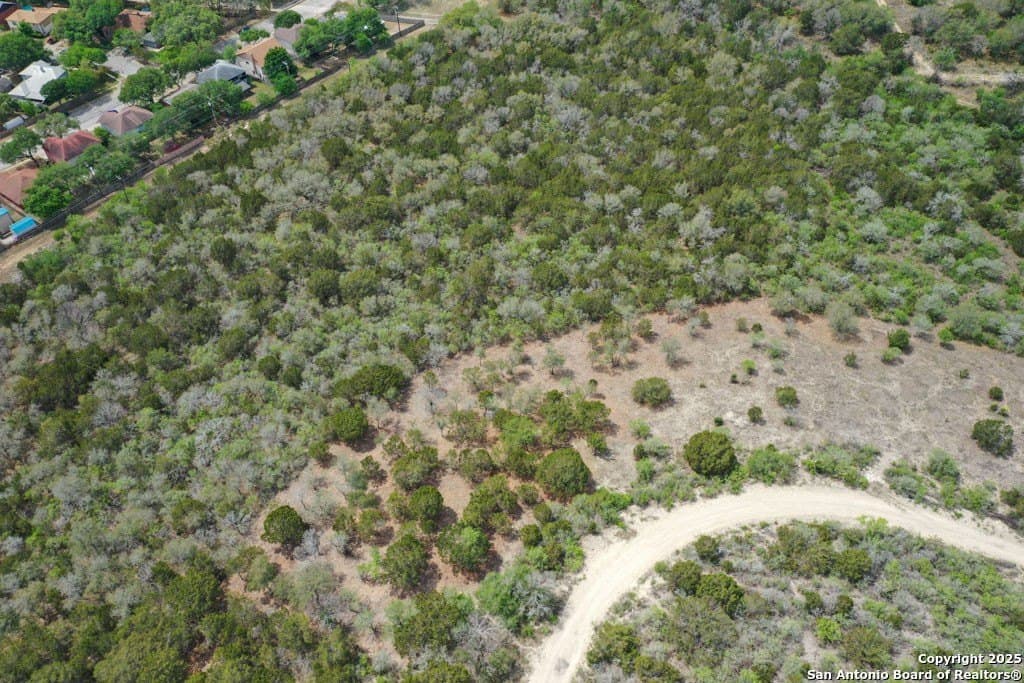 0.5 acres in Bexar County gallery image 4