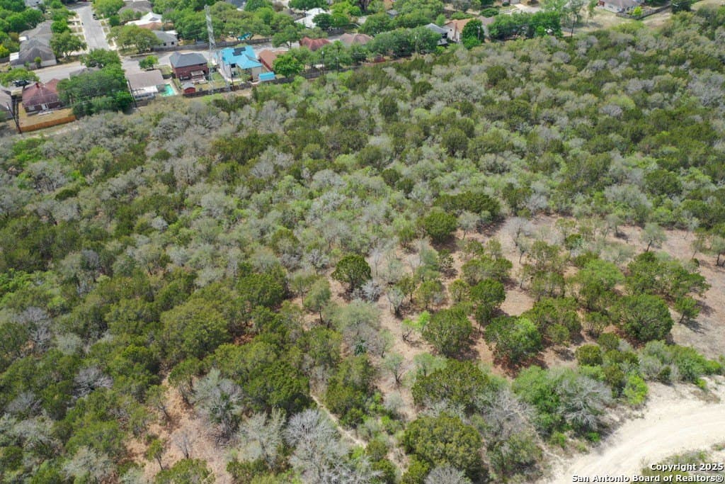0.5 acres in Bexar County - photo 7