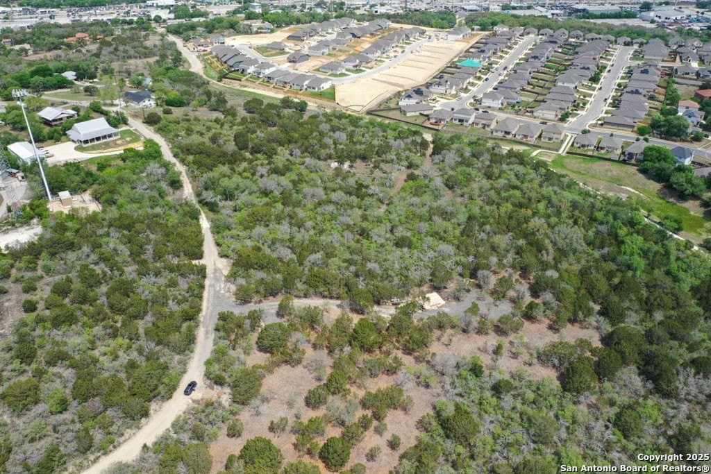 0.5 acres in Bexar County - photo 6