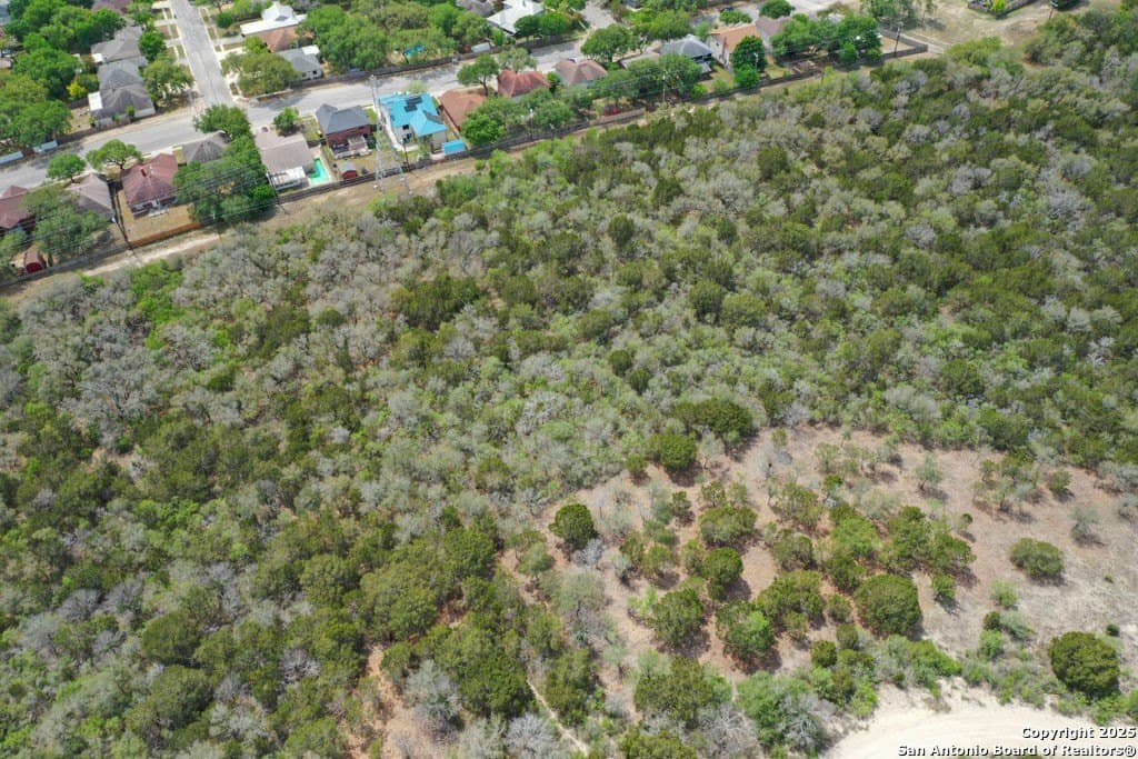 0.5 acres in Bexar County - photo 8