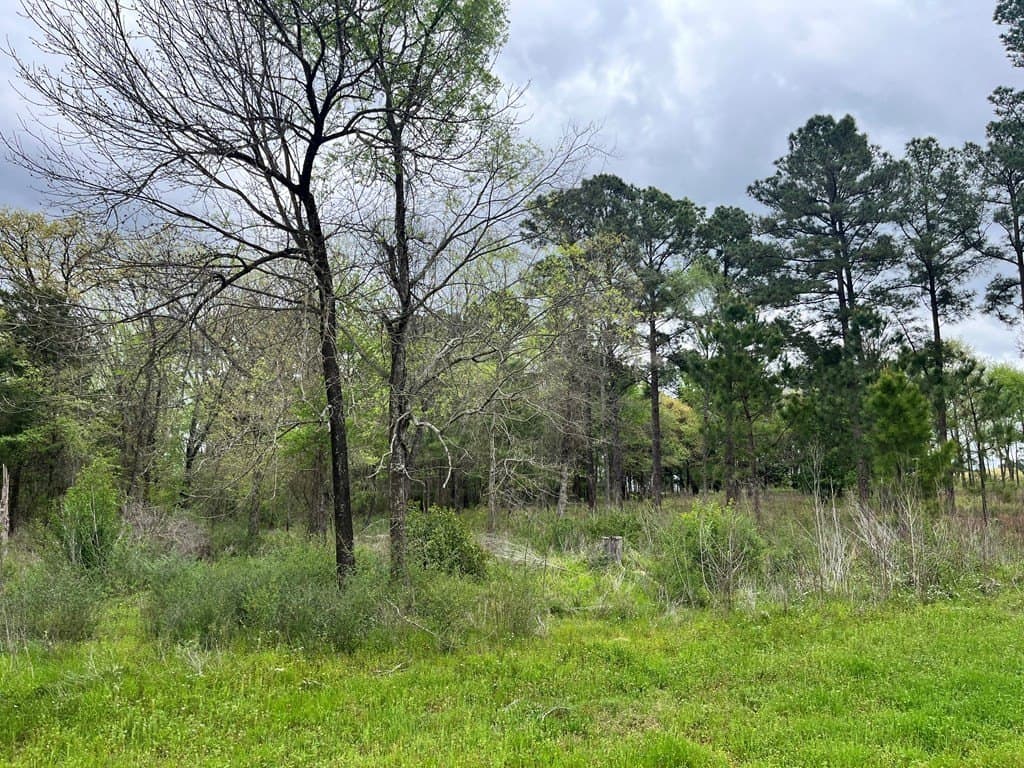 1.45 acres in Henderson County gallery image 2