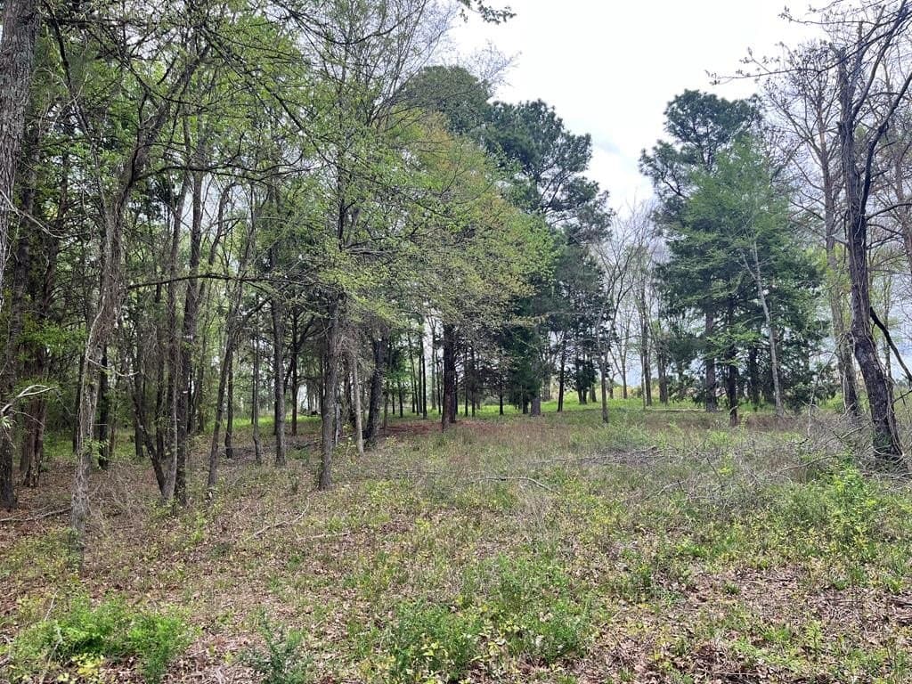 1.45 acres in Henderson County