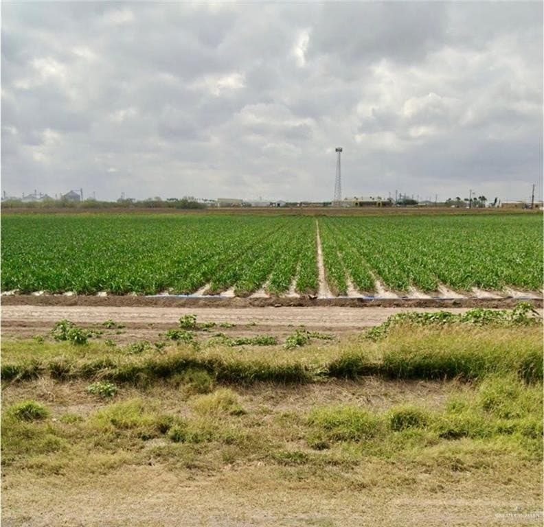 13.83 acres in Hidalgo County gallery image 2