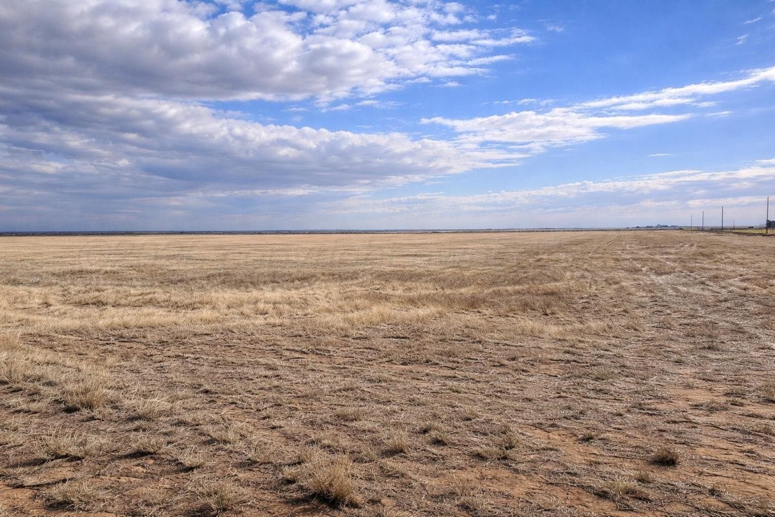 10.01 acres in Randall County gallery image 3