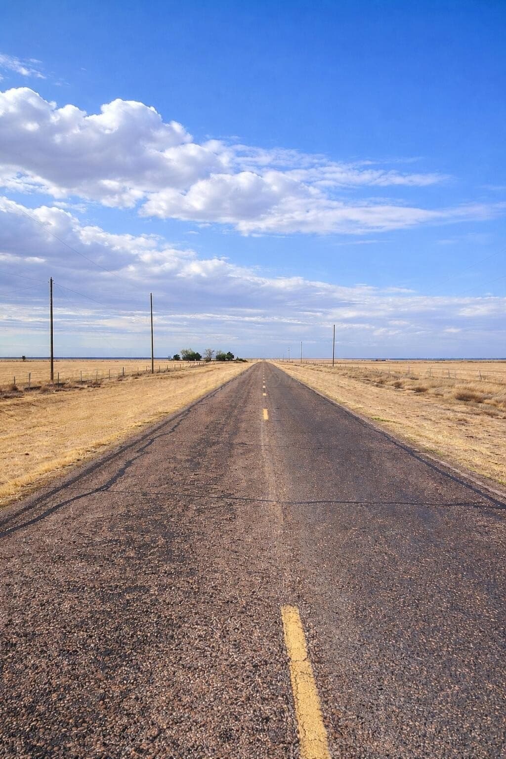 10.01 acres in Randall County featured view