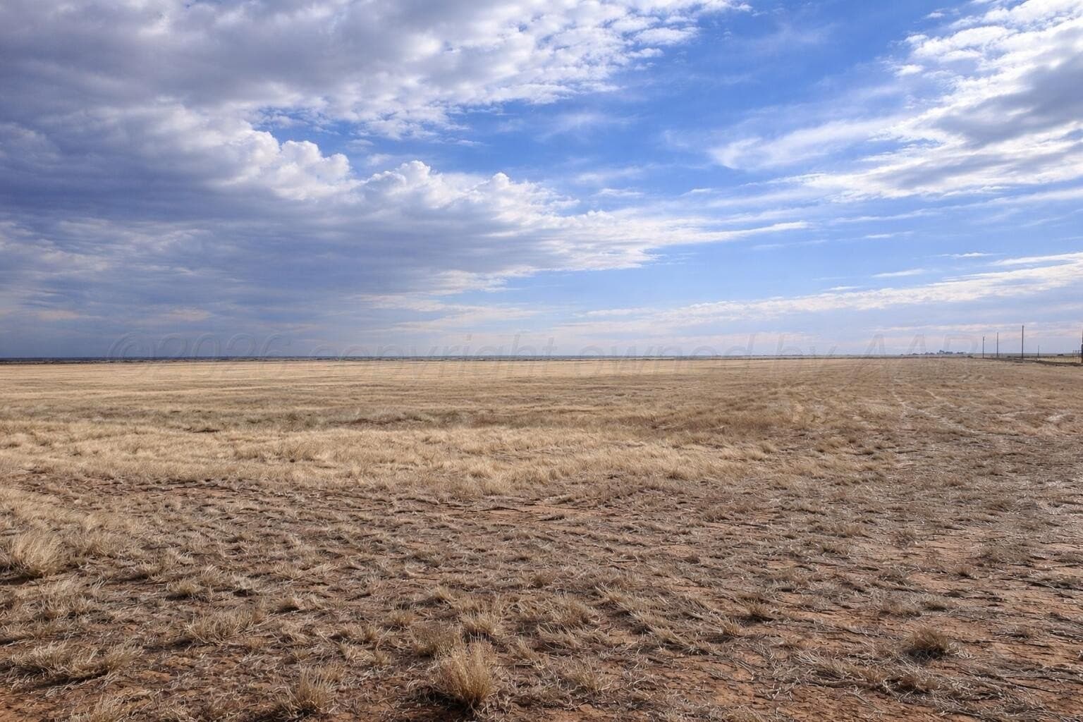 10.01 acres in Randall County gallery image 2