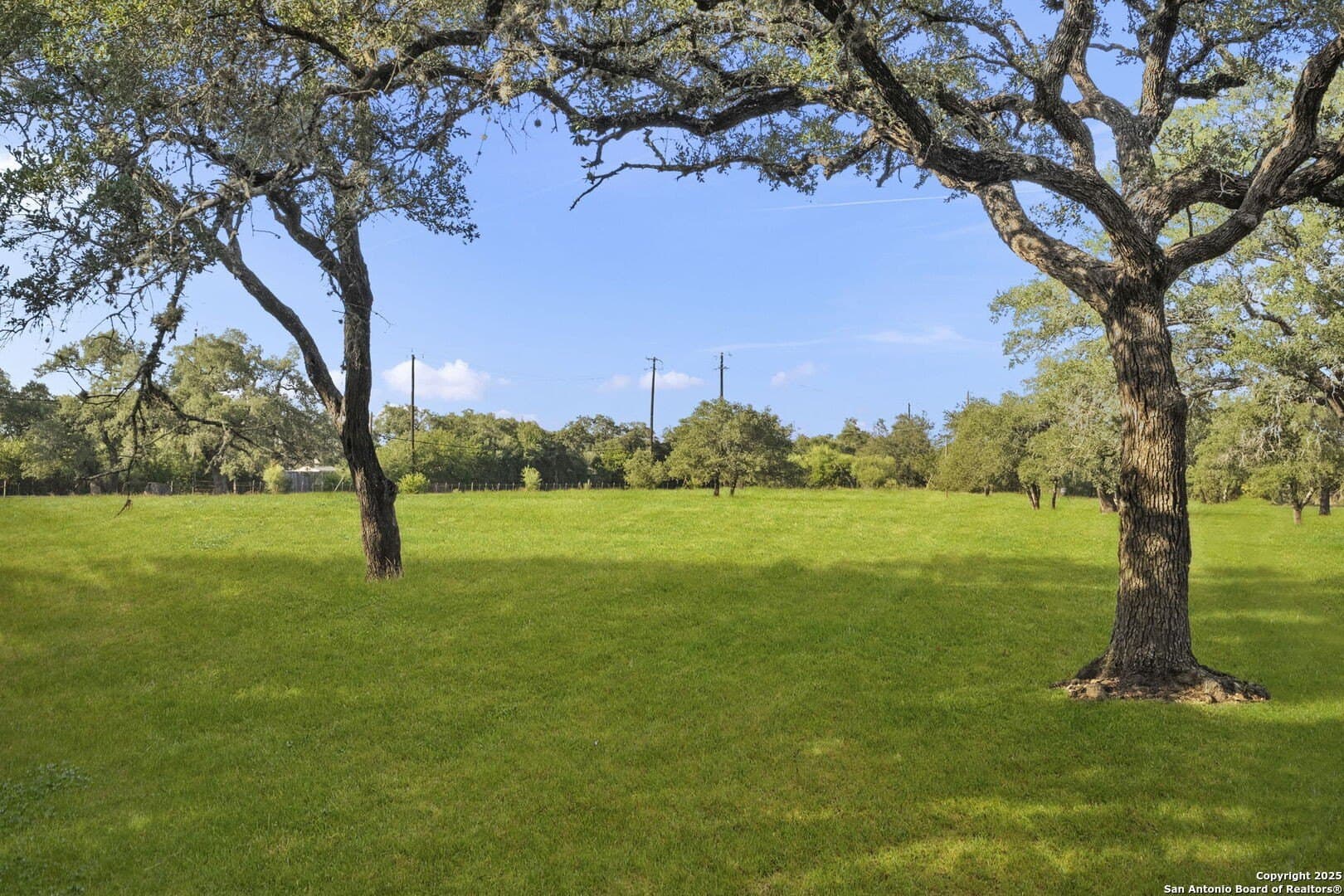 11 acres in Bexar County - photo 44