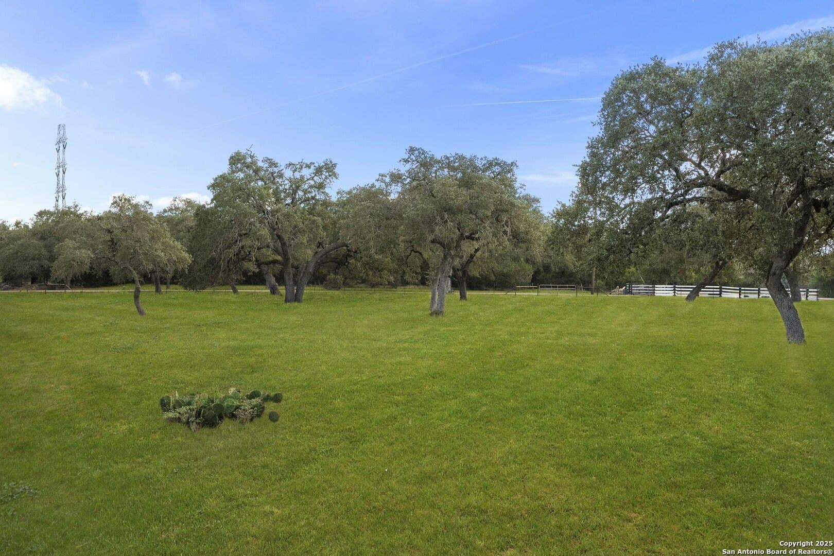 11 acres in Bexar County - photo 45