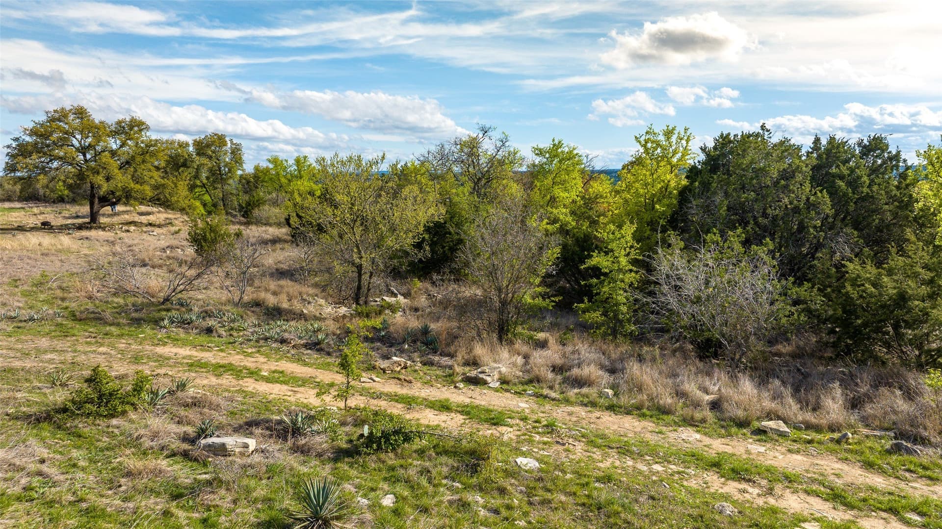 2.01 acres in Erath County - photo 3
