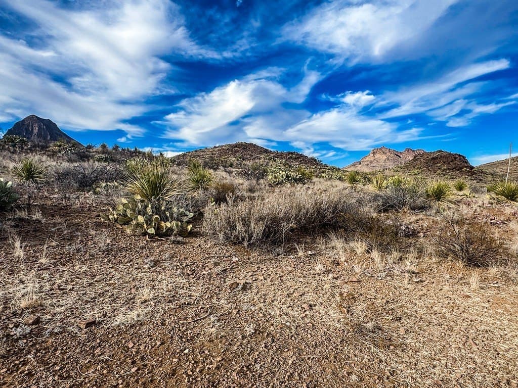 10.05 acres in Brewster County featured view