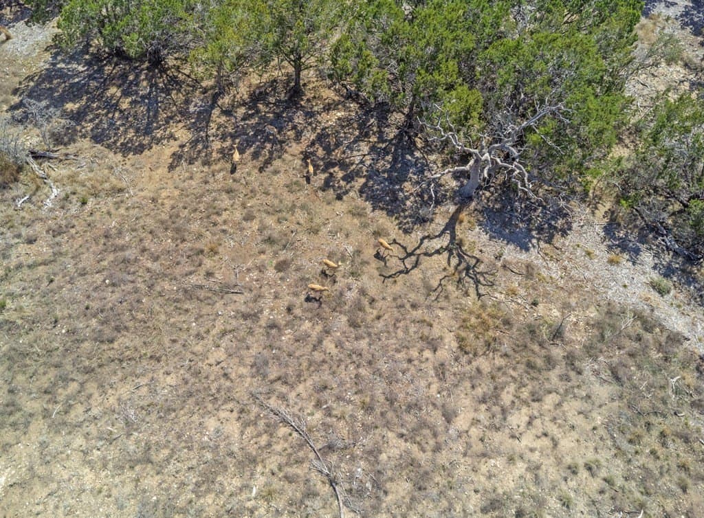 5.12 acres in Kerr County - photo 21