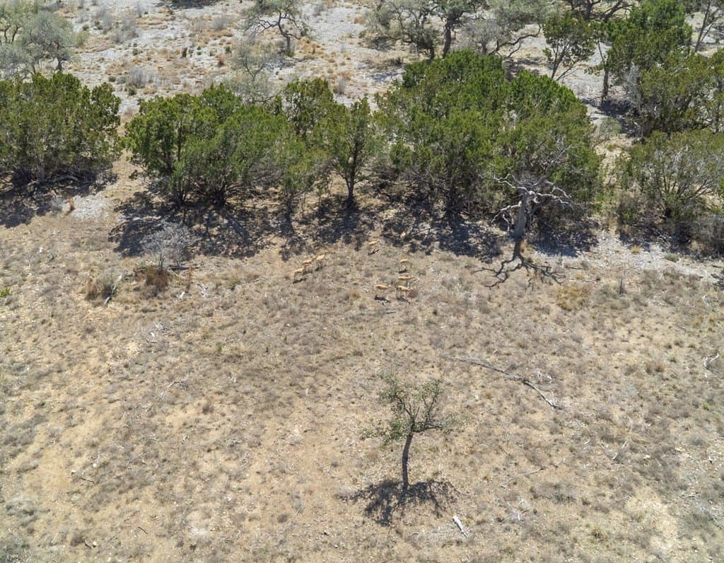 5.12 acres in Kerr County - photo 20
