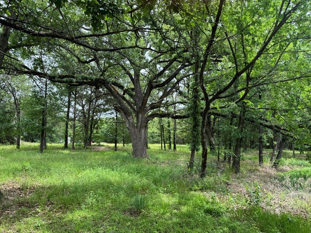 6.5 acres in Kaufman County gallery image 3