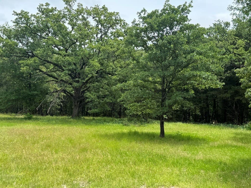 6.5 acres in Kaufman County gallery image 4