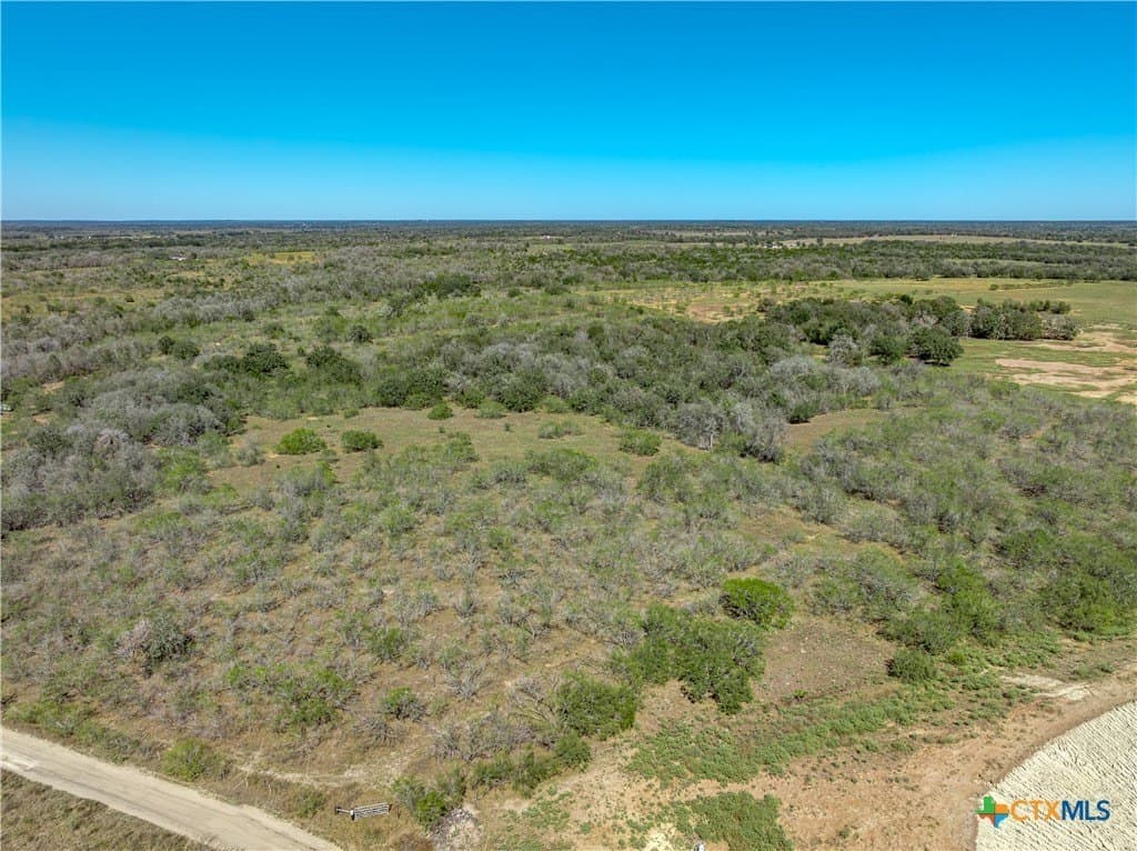 26.15 acres in Gonzales County gallery image 3
