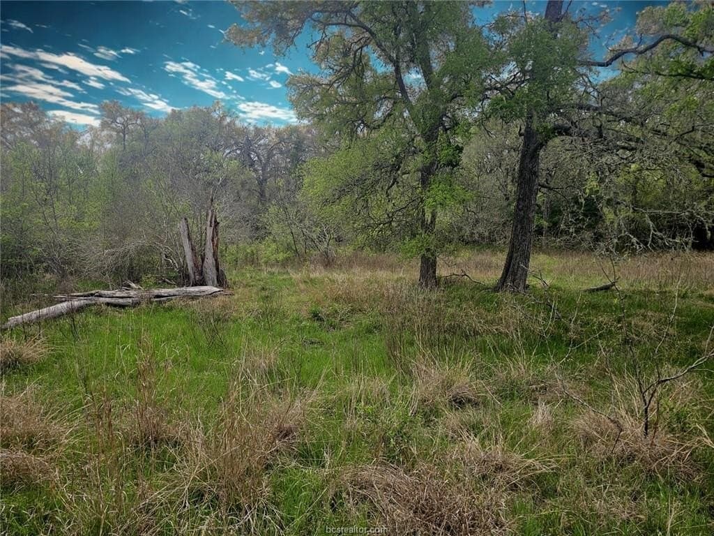 4.22 acres in Burleson County gallery image 3