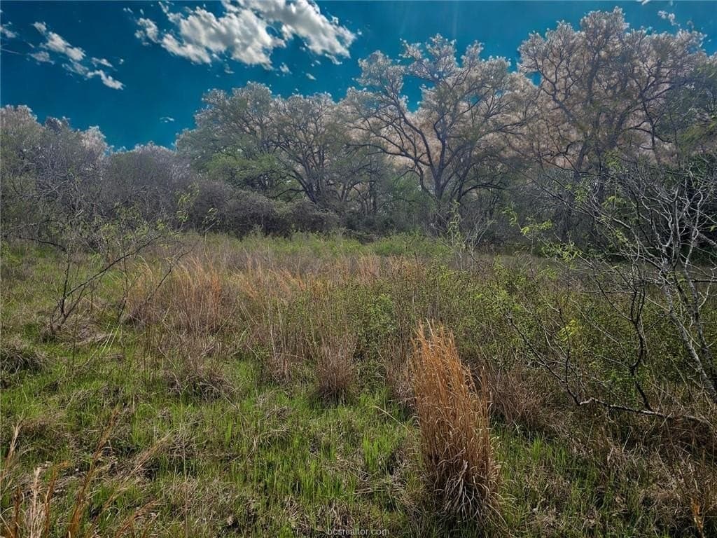 4.22 acres in Burleson County gallery image 4