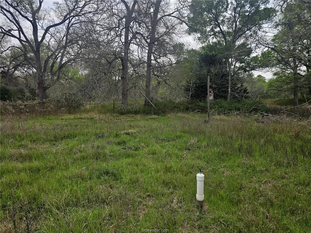 4.22 acres in Burleson County featured view