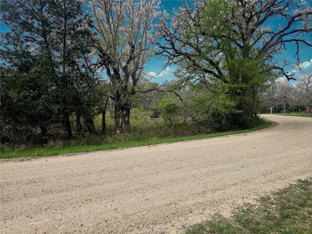 4.22 acres in Burleson County gallery image 2