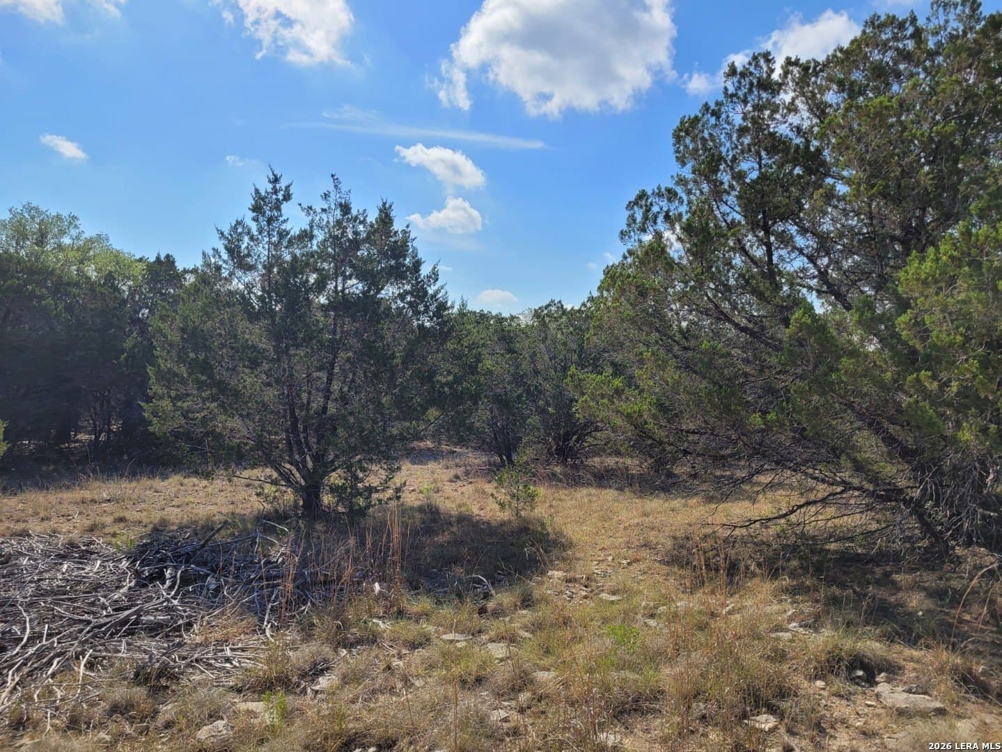 1.23 acres in Comal County - photo 4