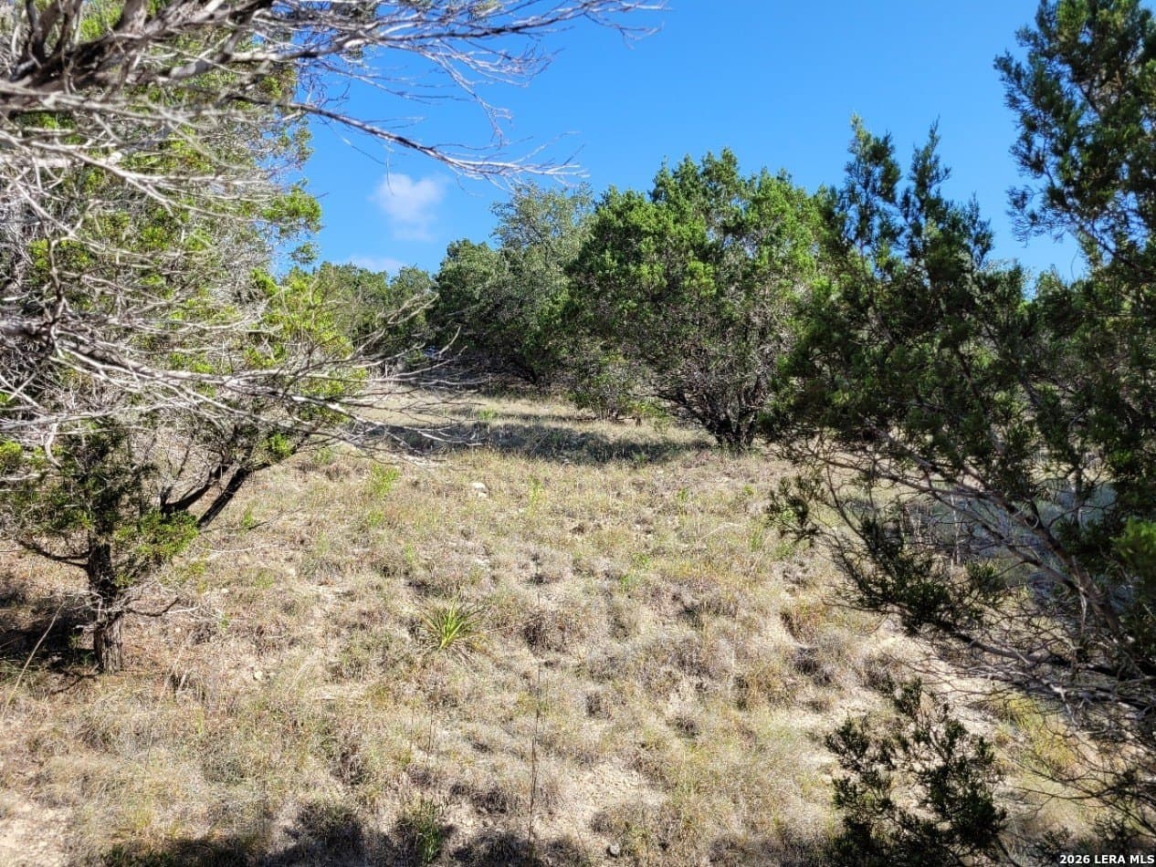 1.23 acres in Comal County - photo 2